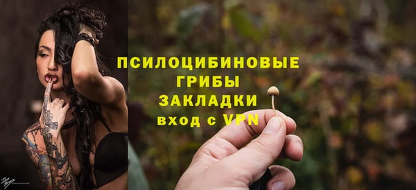 spice Алексин