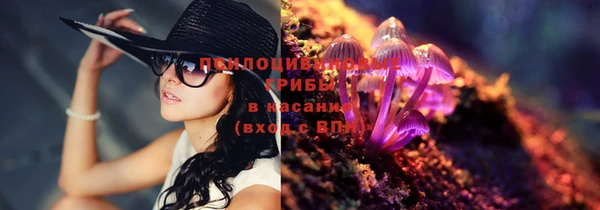 ГАЛЛЮЦИНОГЕННЫЕ ГРИБЫ Абинск