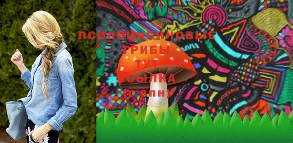 spice Алексин
