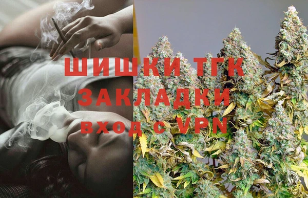 шишки Алзамай