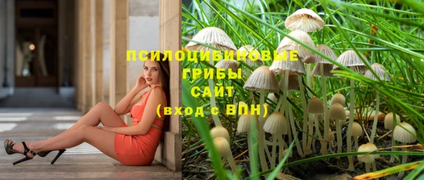 дмт Абдулино