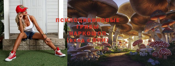 метадон Абаза