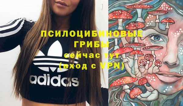 spice Алексин
