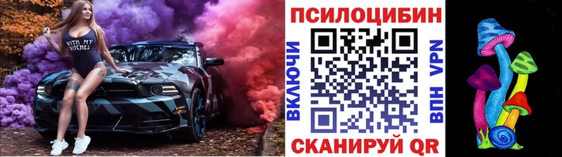 Псилоцибиновые грибы Psilocybe  Кадников 